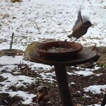 くつきそば 永昌庵 - 