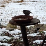 くつきそば 永昌庵 - 
