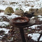 くつきそば 永昌庵 - 