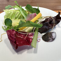 米菜°sakura 織音寿し - 