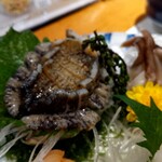 Kintarou Zushi - 