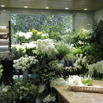 kusakanmuri　tea room - 併設のフラワーショップには、白と緑の草花が並びます