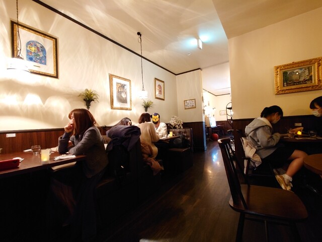 Rickettsia Torre photo 5