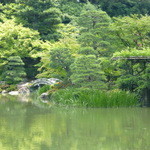 岡崎 つる家 - 仙洞御所内の、池。菖蒲は、終わっていました。。。拝観には、事前予約が必要です。
