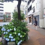 そ 満蔵 - 店の、すぐそばに、紫陽花が、綺麗に迎えてくれましたね♪