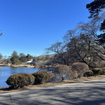 プリムローズ - 