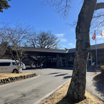 プリムローズ - 