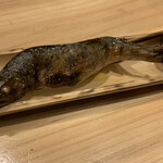 Robata Itarian Shizen Hawain Irufo - 