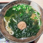 うどん日和 - 梅わかめうどん