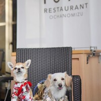 RESTAURANT 1899 OCHANOMIZU - 