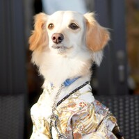 RESTAURANT 1899 OCHANOMIZU - 