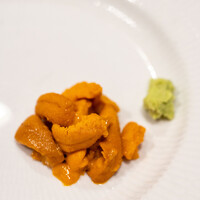 うを徳 - 2023.1 函館産バフンウニ