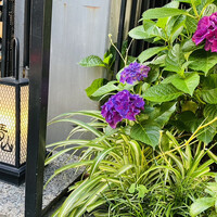 日本料理 晴山 - 