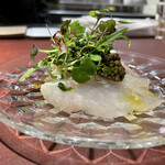 イル アオヤマ - 