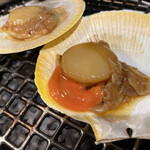 肉基地 黒貴 - 鹿児島産月日貝