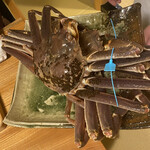 東茶屋 なかむら - 