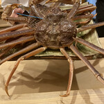 東茶屋 なかむら - 