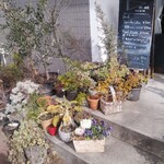 ハタヤ - 入り口の植物