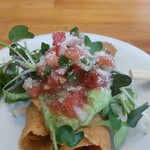 タコス　ハルディン - 23/01　タキート