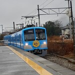 十割手打 そば処 百百百百 - 帰りに乗った近江鉄道。単線。２両編成。この車両のヘッドマークは「ビックリマンはじまりの地」をPR。