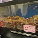 味処 高崎 - 1階のかに水槽