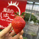 姫路ハートフル観光農園 - 