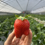 姫路ハートフル観光農園 - 