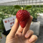 姫路ハートフル観光農園 - 