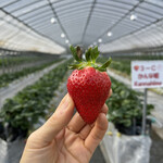 姫路ハートフル観光農園 - 