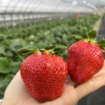 姫路ハートフル観光農園 - 