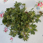 姫路ハートフル観光農園 - 