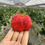 姫路ハートフル観光農園 - 