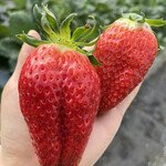 姫路ハートフル観光農園 - 