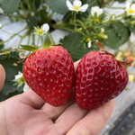 姫路ハートフル観光農園 - 