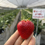 姫路ハートフル観光農園 - 