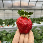 姫路ハートフル観光農園 - 