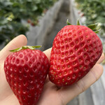 姫路ハートフル観光農園 - 