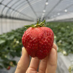 姫路ハートフル観光農園 - 