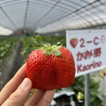 姫路ハートフル観光農園 - 