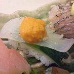 あかね - 剣先イカウニのせ