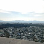 ロジエ - 南東(百舌鳥古墳は仁徳天皇陵)