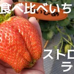 ストロベリーランド筑西 - 料理写真: