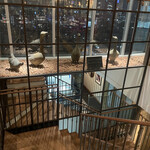 Benoit Alain Ducasse - 