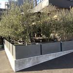 リストランテ プレーゴ - 今日は暖かい。外もいいですね。