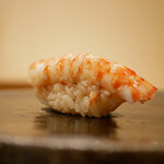 すし処 睦月 - ◇車海老
      シャリの酸味で引き立つ海老の甘み、噛み締めるほどにしっかりとした旨味を形成。忍ばせた身と肝和えがコクを深めるポイント。