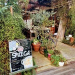 スパイスカフェ - 