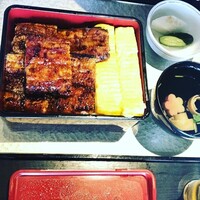 炭焼きうなぎ・かしわ 登河 - 