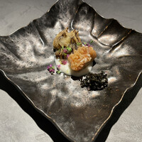 TOSAGE - 