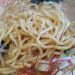 Menya Kotetsu - 麺のアップ