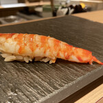 難波 鮨 よこ田 - 